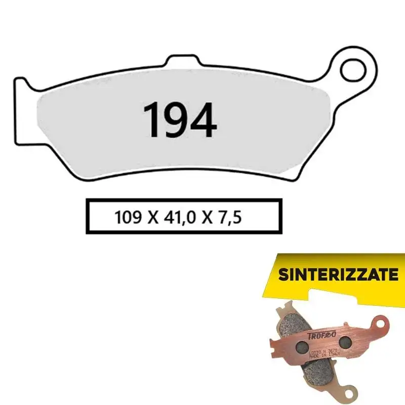 Pastiglie freno posteriori Trofeo by Ognibene per BMW R 1300 GS Adventure 24-25 - Mescola Sinterizzata 01 43019401